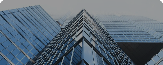 Bản tin Nice Office